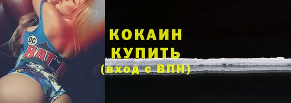 индика Нея