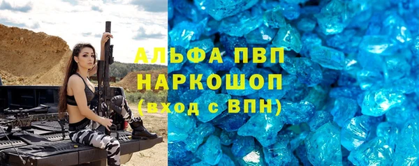 соль ск Новозыбков