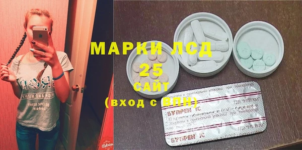 индика Нея