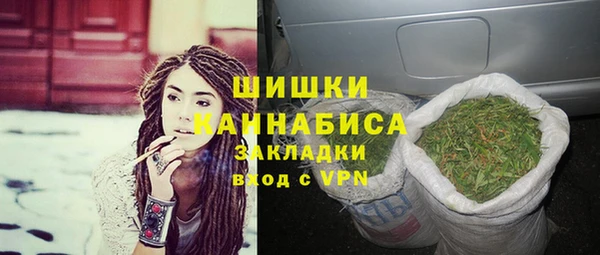 индика Нея