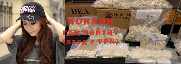 индика Нея