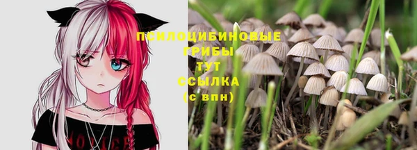 круглые Нефтекумск