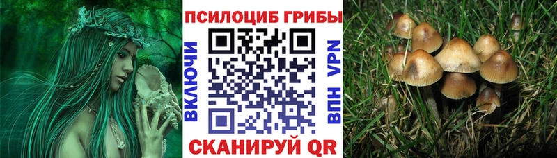 Псилоцибиновые грибы Cubensis  Купить закладки  Мытищи 
